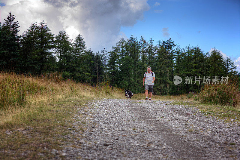 边境牧羊犬在林地轨道与高级男子