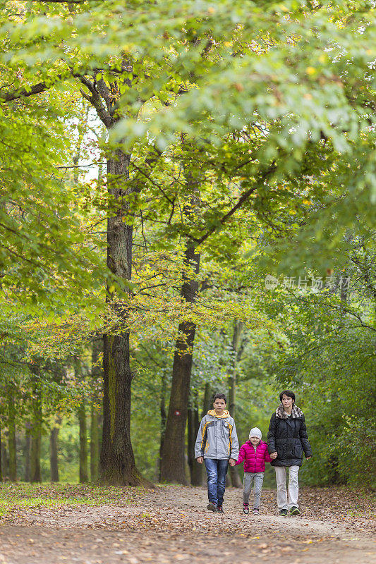 一家人在秋林小径上散步