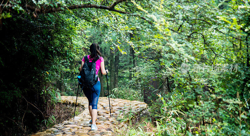在树林里背着背包的年轻女性徒步旅行者
