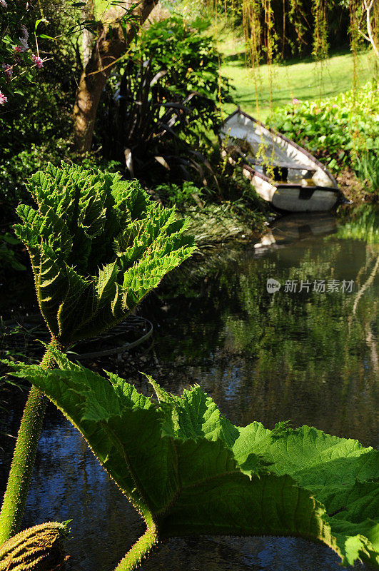 花园池塘,球衣。