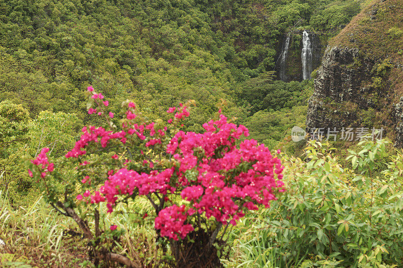 Opaekaa下降,考艾岛