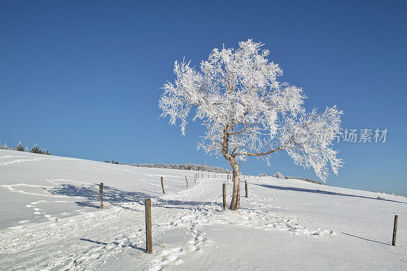 冬天的雪景与小路在黑森林