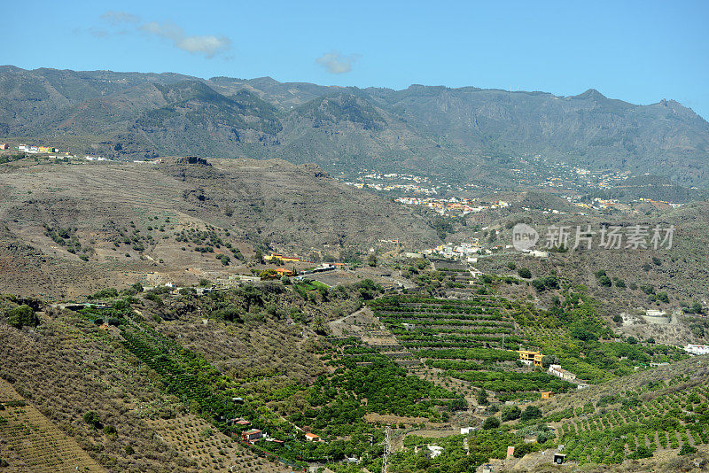 大加那利岛中部山区的农田和农业(西班牙)