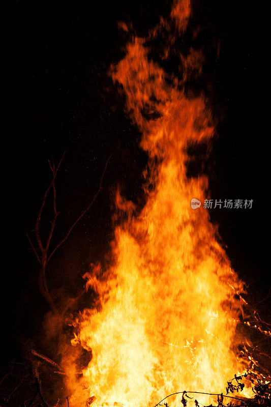 夜晚燃烧的灌木丛火灾