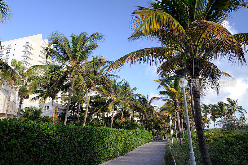 迈阿密海滩酒店