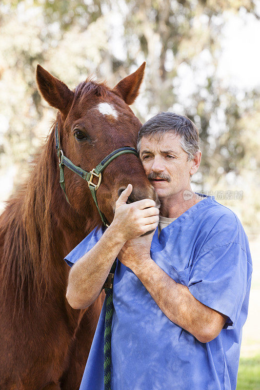 兽医抱着一匹病马使它平静下来