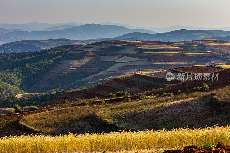 昆明附近的东川红土。Wumeng山区。中国