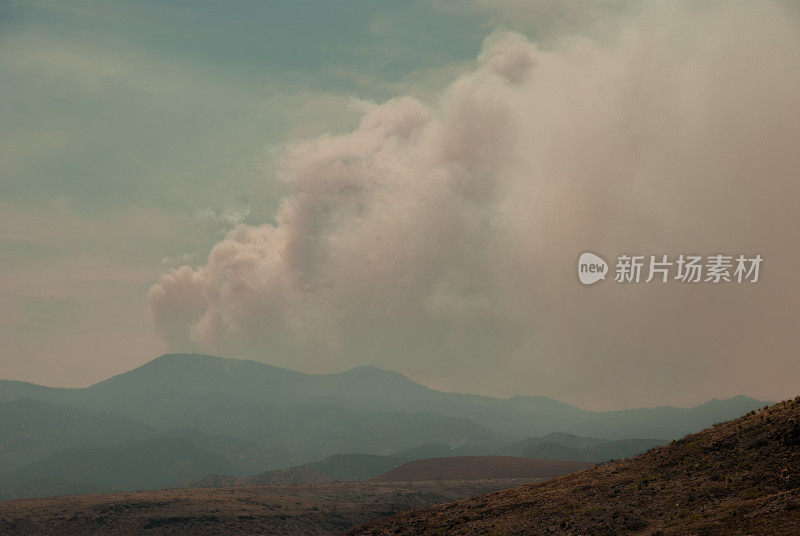 吉拉国家森林大火