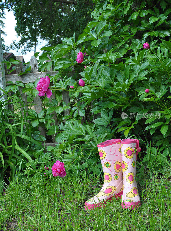 雨靴和花