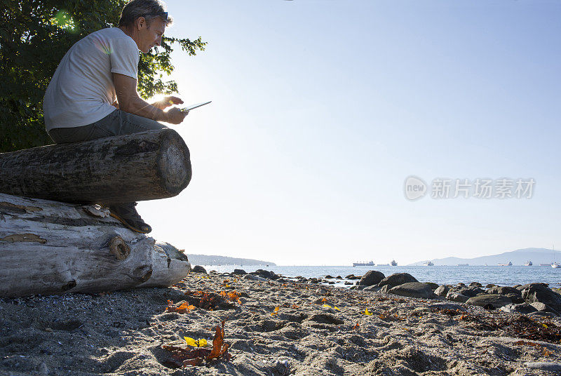 男子在沙滩上的原木上放松，用着数码平板电脑