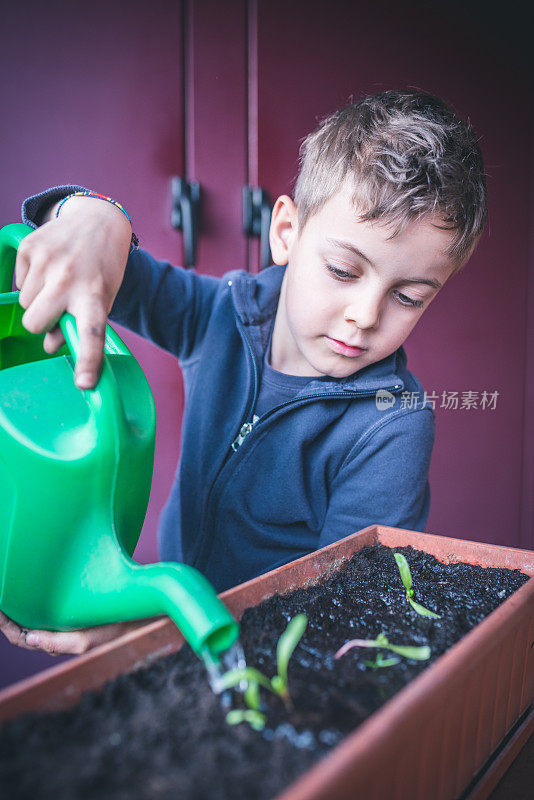 孩子照顾植物