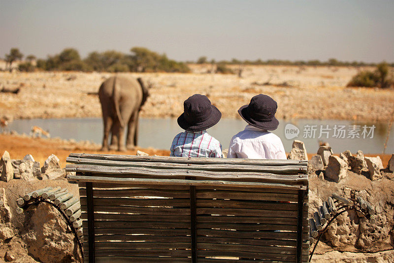 在纳米比亚Etosha的Okaukuejo水坑里看大象的孩子们