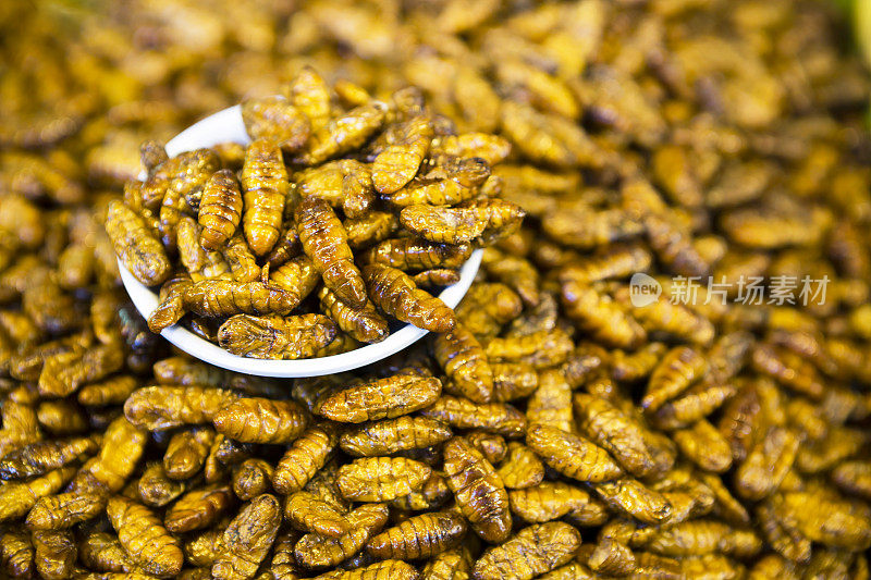 食用昆虫食物泰国菜泰国