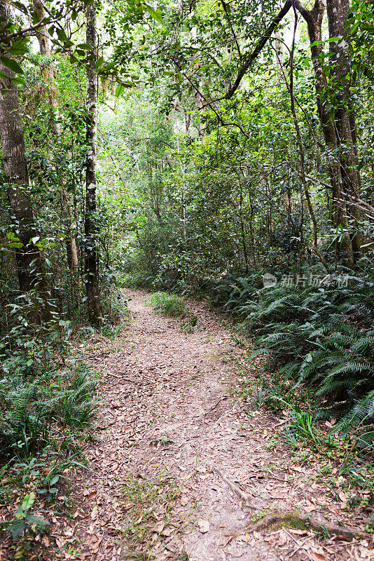 这条路通向哪里