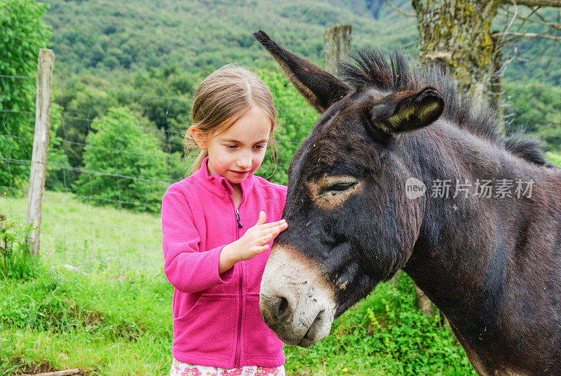 山上牧场上的小女孩和她的驴