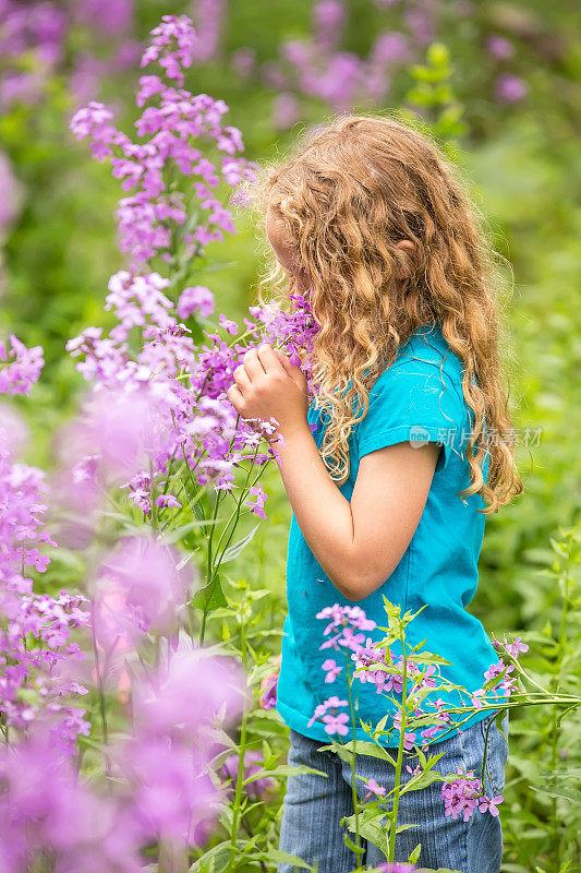 闻着紫色野花的年轻女孩