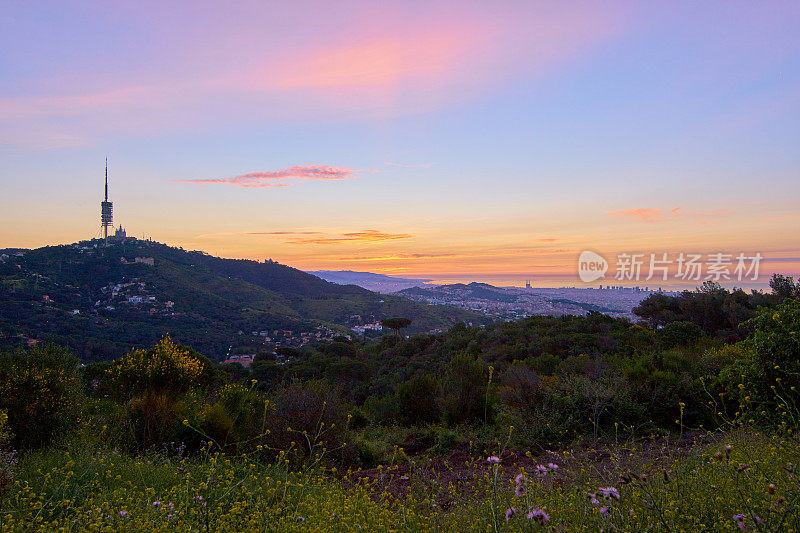 巴塞罗那的Collserola山日出