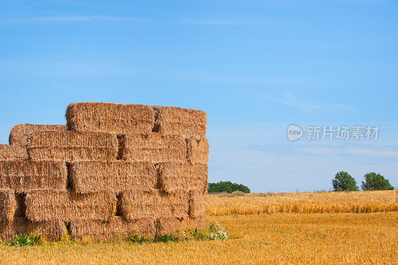 田间干草捆