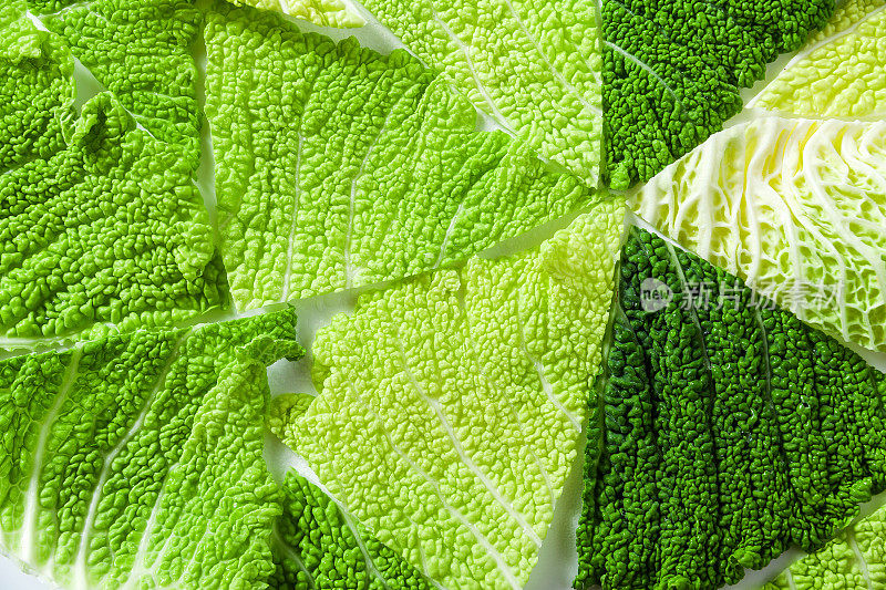 卷心菜叶子的背景。健康饮食的模式。收获绿色蔬菜。有机产品的质地。生物纯生产的概念。饮食营养的概念