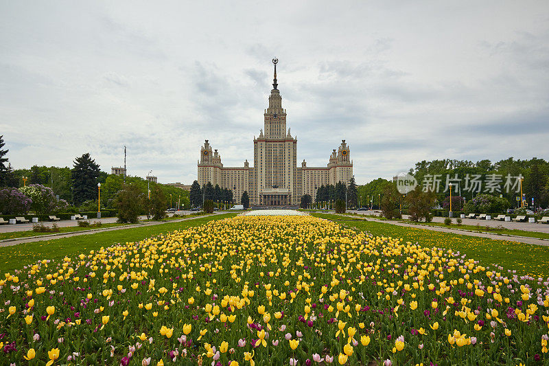 莫斯科国立大学