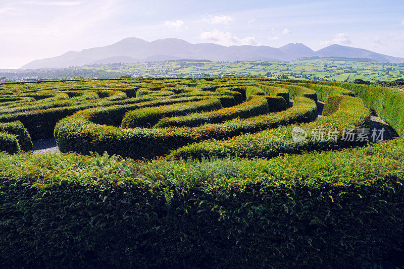 北爱尔兰，蓝天下的树篱迷宫
