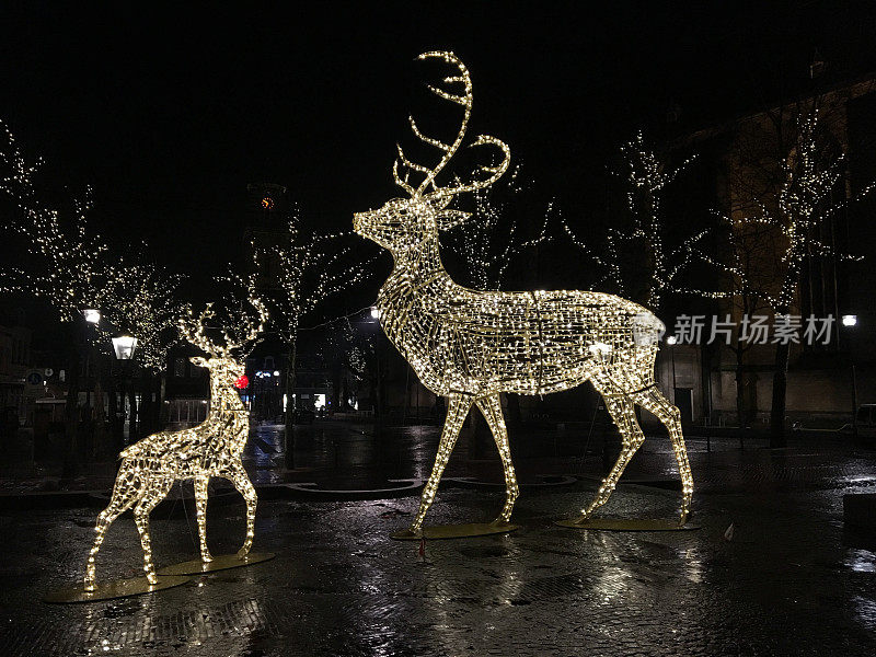 圣诞灯鹿装饰前的市政厅与雪在一个寒冷的冬夜