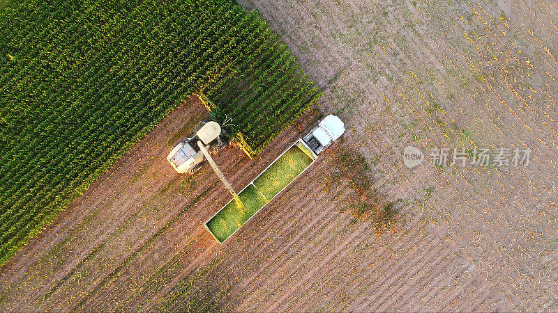 农用机器和半挂车在秋天收割玉米