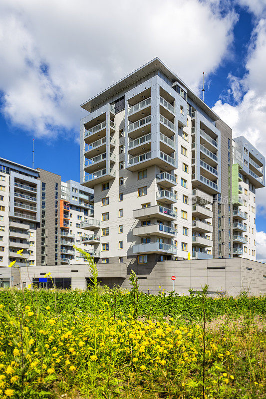 波兰格但斯克新现代住宅小区的夏季景观