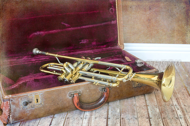 铜管喇叭躺在一个旧天鹅绒内衬音乐盒