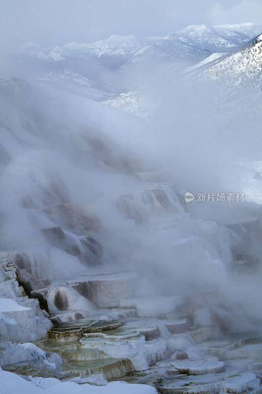 金丝雀温泉与浓雾和蒸汽在一个寒冷的冬天，猛犸温泉，黄石国家公园，怀俄明州，美国