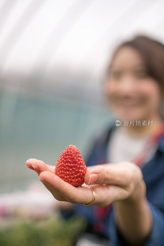 年轻女子把草莓放在手上