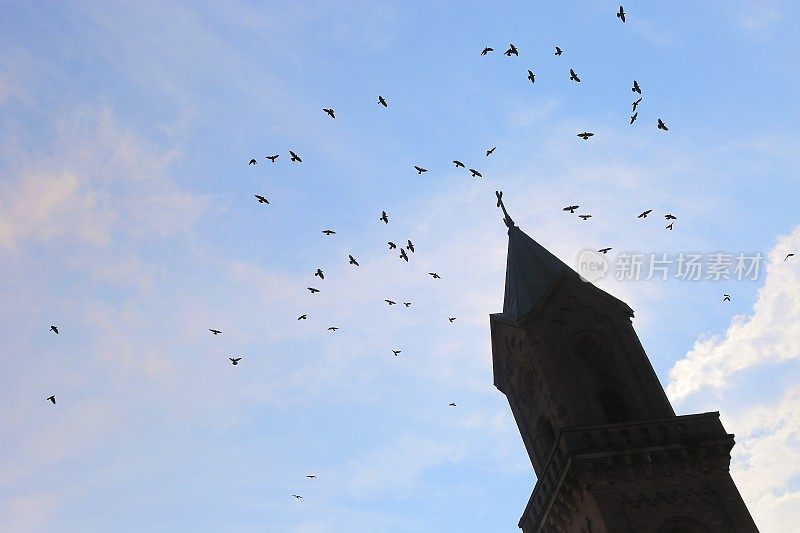 德国巴伐利亚的丁克尔斯布尔中世纪钟楼和鸟群