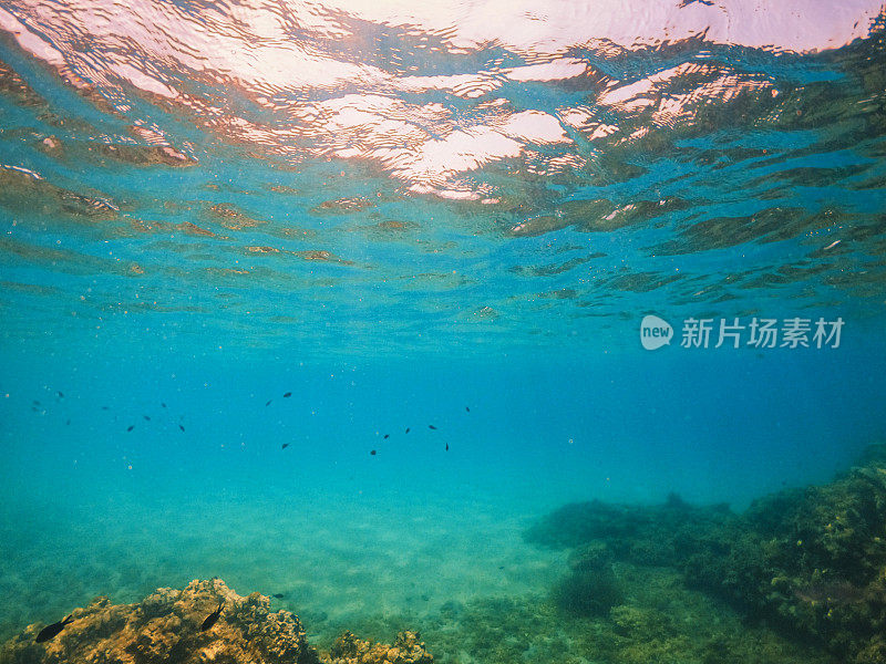 在希腊岛上清澈的泻湖的水下景色