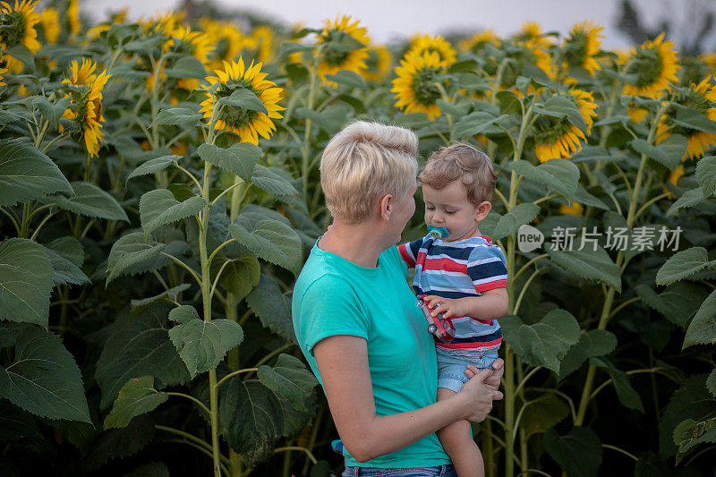 母亲和儿子在向日葵中间。