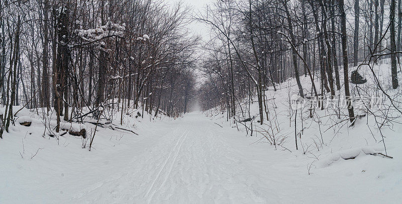 安大略汉密尔顿-布鲁斯步道-沿着悬崖步道在冬天