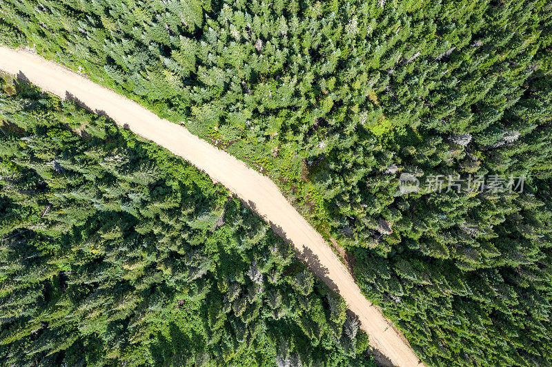 鸟瞰图的乡村道路穿过北方自然森林在夏天，魁北克，加拿大