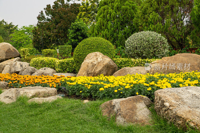 园林绿化设计以树篱圆形的灌木，装饰以绿色的墙植物，白色的石头在绿色的草地草坪上进行良好的养护美化