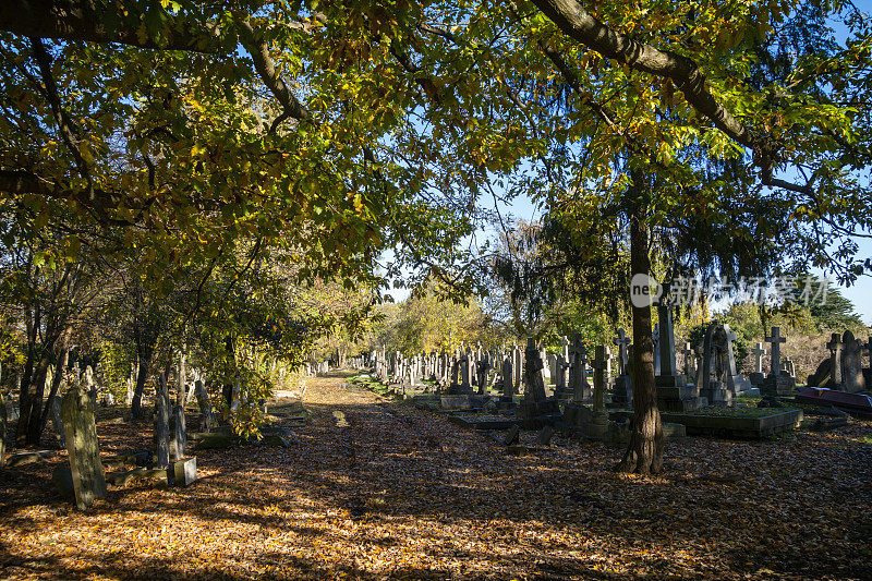 秋天的郊区墓地