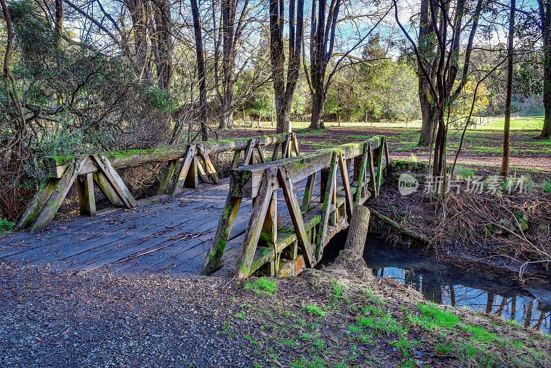 青苔覆盖着古老的木桥
