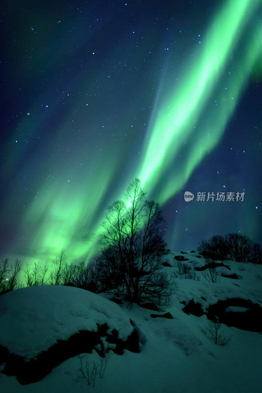 寒冷的冬夜，挪威罗浮敦群岛上空的北极光