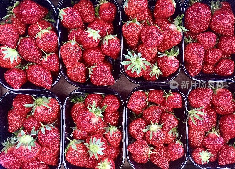 农场新鲜草莓篮