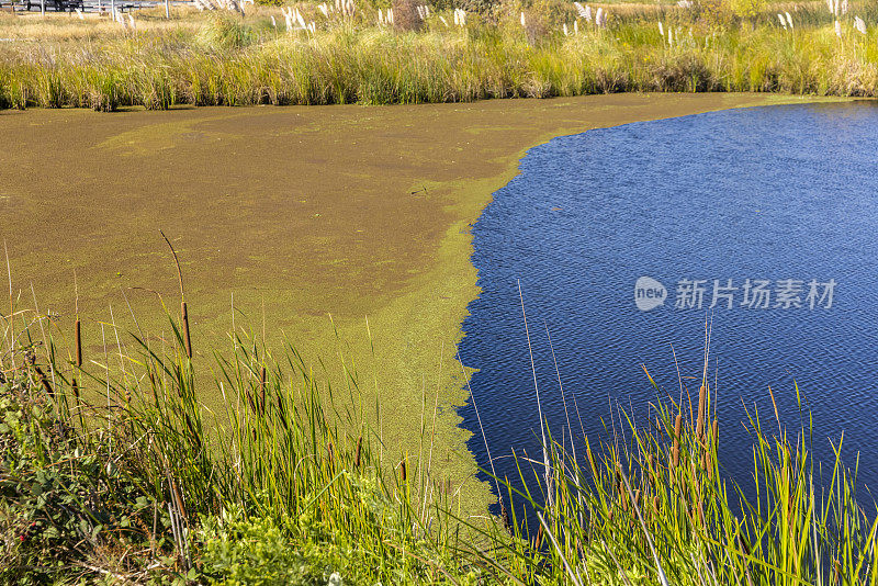 大突破区域海岸线