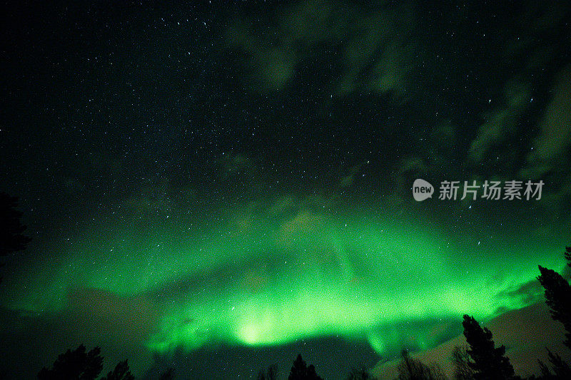 北极光在夜空中，山峦和云杉的轮廓