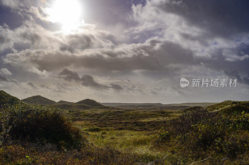 瓦登海区特塞尔岛沙丘景观