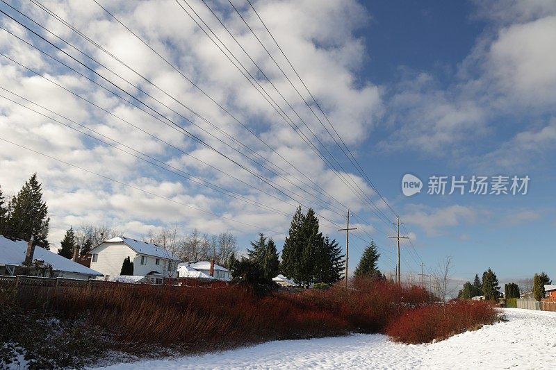 加拿大温哥华市区绿化带上空多云的天空