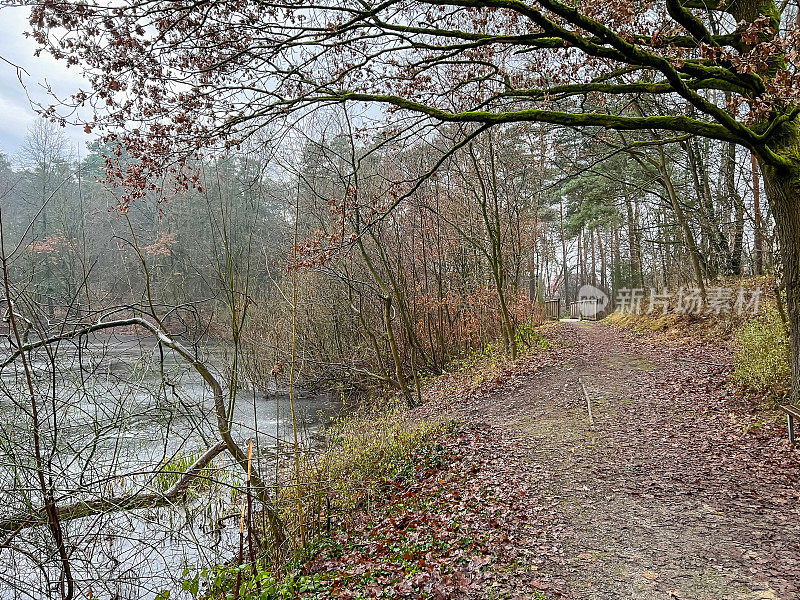 德国“林根”镇，冬天，一条穿过湖边森林的小路。