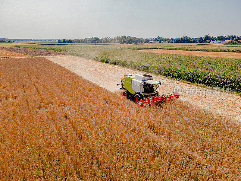 联合收割机驶过麦田收集小麦，正面拍摄，白天高角度拍摄