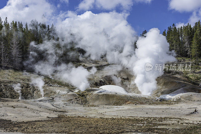 怀俄明州黄石国家公园诺里斯间歇泉盆地的火山喷发地热活动。大量的蒸汽从地下冒出来。