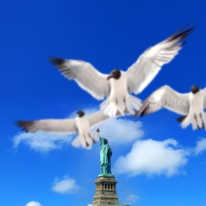 自由女神像和在晴朗的蓝天上飞翔的海鸥