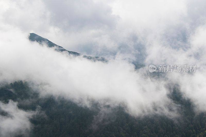草木草木图舍蒂山的风景被云层覆盖